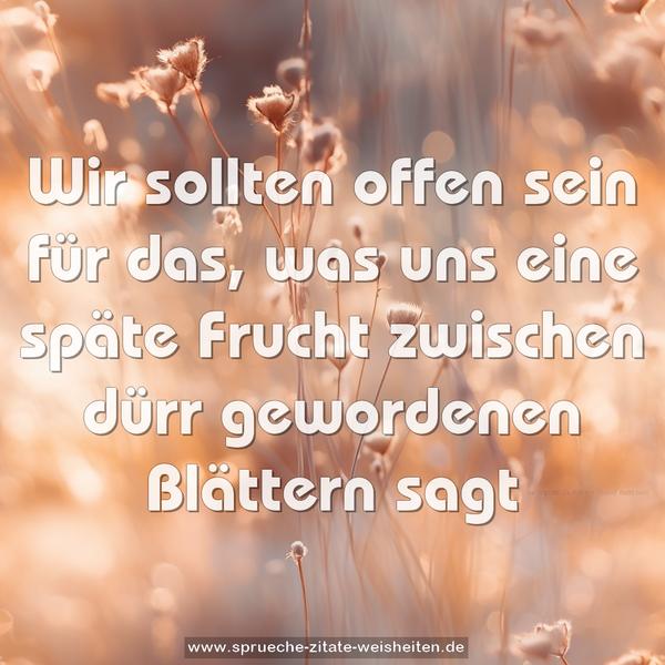 Wir sollten offen sein für das,
was uns eine späte Frucht
zwischen dürr gewordenen Blättern sagt