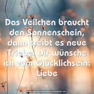 Das Veilchen braucht den Sonnenschein,
dann treibt es neue Triebe.
Dir wünsche ich zum Glücklichsein:
Liebe