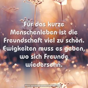 Für das kurze Menschenleben
ist die Freundschaft viel zu schön.
Ewigkeiten muss es geben,
wo sich Freunde wiedersehn.