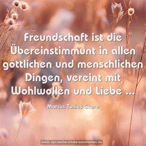 Freundschaft ist die Übereinstimmunt
in allen göttlichen und menschlichen Dingen,
vereint mit Wohlwollen und Liebe ...