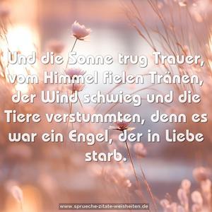 Und die Sonne trug Trauer, vom Himmel fielen Tränen,
der Wind schwieg und die Tiere verstummten,
denn es war ein Engel, der in Liebe starb.