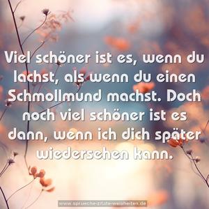 Viel schöner ist es, wenn du lachst,
als wenn du einen Schmollmund machst.
Doch noch viel schöner ist es dann,
wenn ich dich später wiedersehen kann.