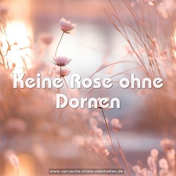 Keine Rose ohne Dornen