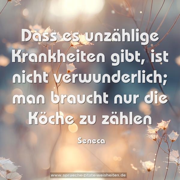 Dass es unzählige Krankheiten gibt,
ist nicht verwunderlich;
man braucht nur die Köche zu zählen