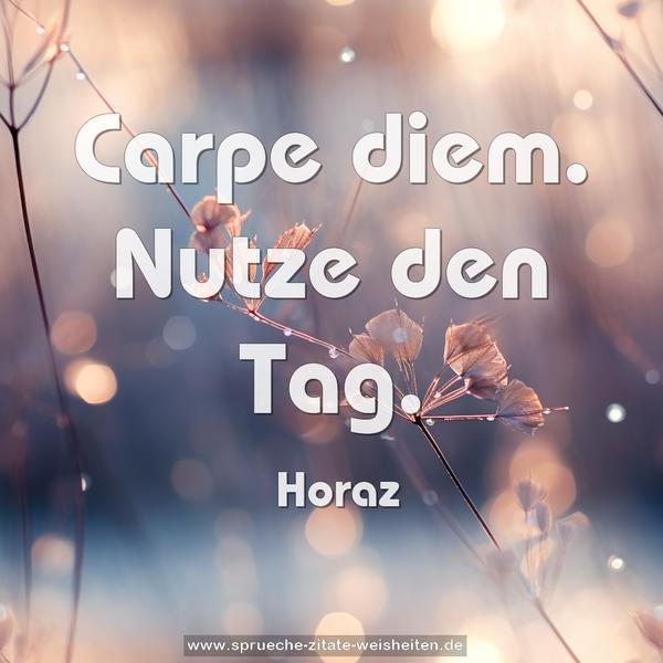 Carpe diem.
Nutze den Tag.