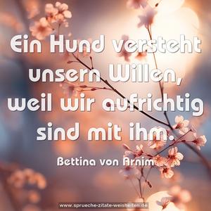 Ein Hund versteht unsern Willen,
weil wir aufrichtig sind mit ihm.