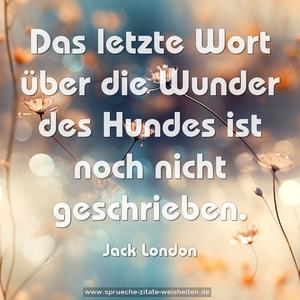 Das letzte Wort über die Wunder des Hundes
ist noch nicht geschrieben.