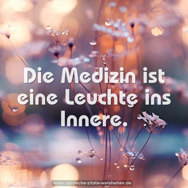 Die Medizin ist eine Leuchte ins Innere.