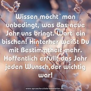 Wissen möcht`man unbedingt, was das neue Jahr uns bringt.
Wart`ein bischen! Hinterher weißt Du mit Bestimmtheit mehr.
Hoffentlich erfüllt das Jahr jeden Wunsch,der wichtig war!
