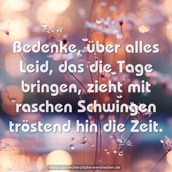 Bedenke, über alles Leid, das die Tage bringen,
zieht mit raschen Schwingen tröstend hin die Zeit.