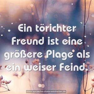 Ein törichter Freund ist eine größere Plage
als ein weiser Feind.