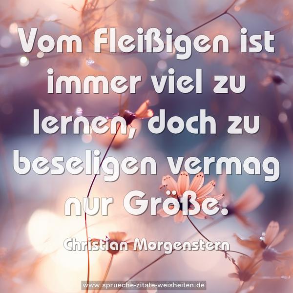Vom Fleißigen ist immer viel zu lernen,
doch zu beseligen vermag nur Größe.