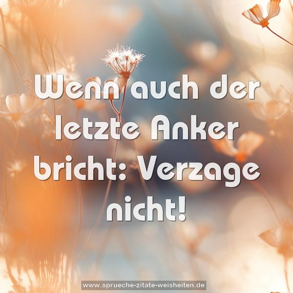 Wenn auch der letzte Anker bricht:
Verzage nicht!