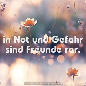 in Not und Gefahr sind Freunde rar.