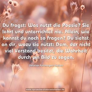 Du fragst: Was nützt die Poesie?
Sie lehrt und unterrichtet nie.
Allein, wie kannst du noch so fragen?
Du siehst an dir, wozu sie nützt:
Dem, der nicht viel Verstand besitzt,
die Wahrheit durch ein Bild zu sagen.