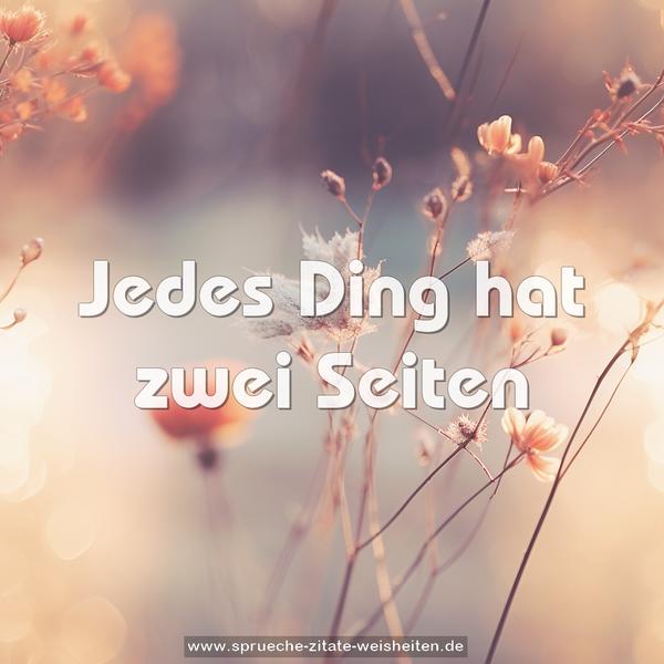 Jedes Ding hat zwei Seiten