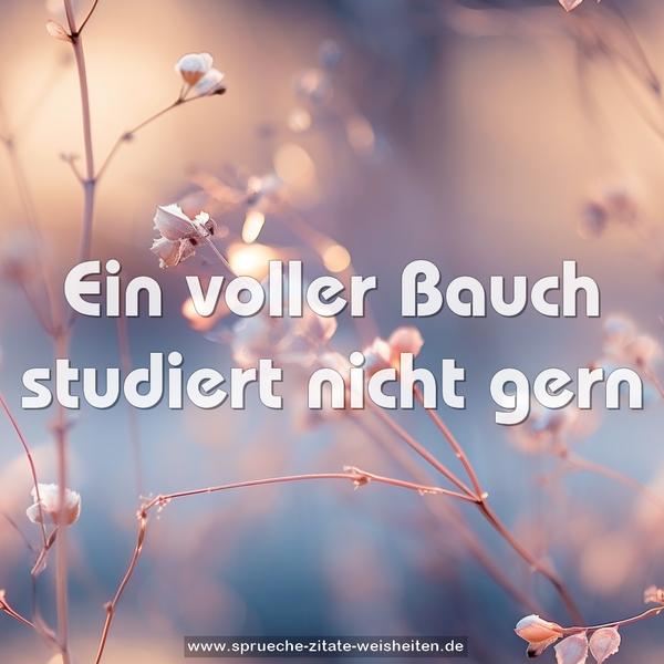 Ein voller Bauch studiert nicht gern