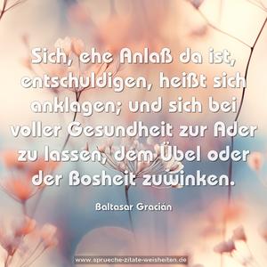 Sich, ehe Anlaß da ist, entschuldigen, heißt sich anklagen; und sich bei voller Gesundheit zur Ader zu lassen, dem Übel oder der Bosheit zuwinken.