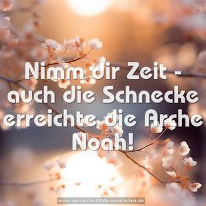 Nimm dir Zeit -
auch die Schnecke erreichte die Arche Noah!