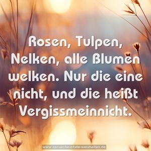 Rosen, Tulpen, Nelken,
alle Blumen welken.
Nur die eine nicht,
und die heißt Vergissmeinnicht.