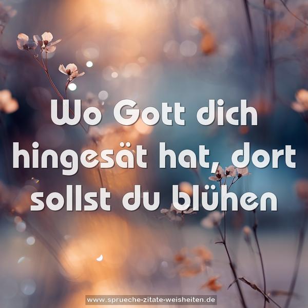 Wo Gott dich hingesät hat, dort sollst du blühen