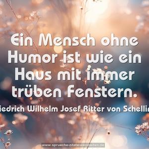 Ein Mensch ohne Humor ist wie ein Haus
mit immer trüben Fenstern.