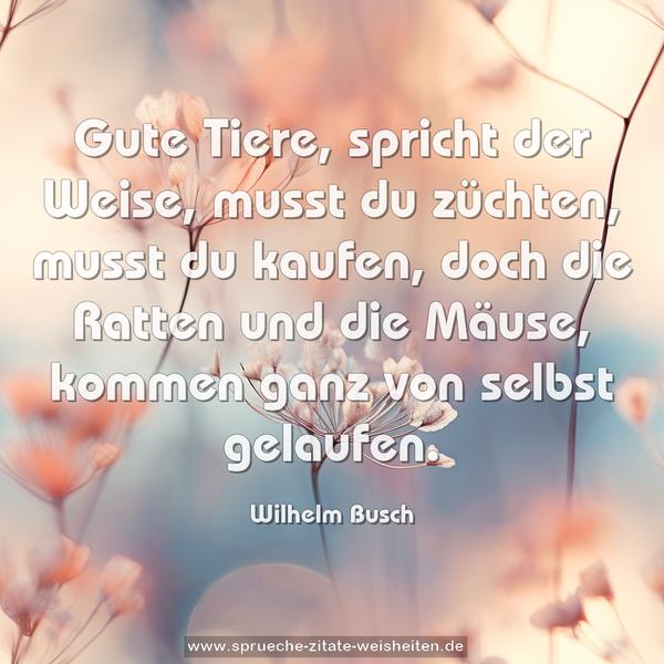 Gute Tiere, spricht der Weise, musst du züchten,
musst du kaufen,
doch die Ratten und die Mäuse,
kommen ganz von selbst gelaufen.