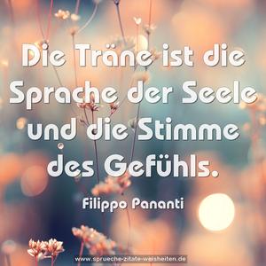 Die Träne ist die Sprache der Seele
und die Stimme des Gefühls.
