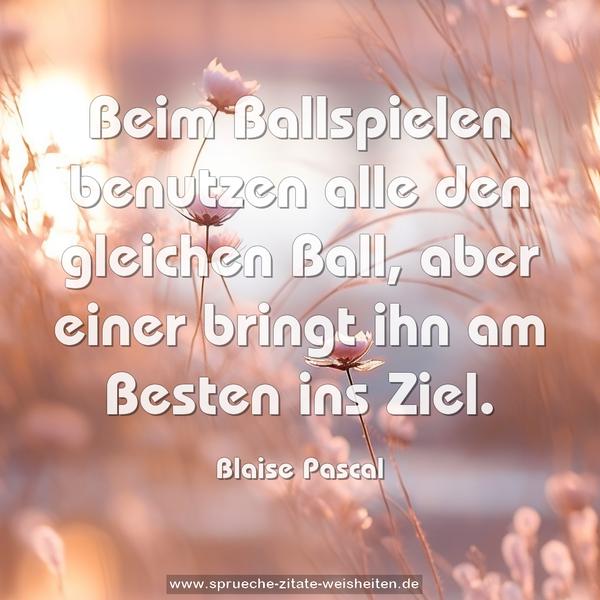 Beim Ballspielen benutzen alle den gleichen Ball,
aber einer bringt ihn am Besten ins Ziel.