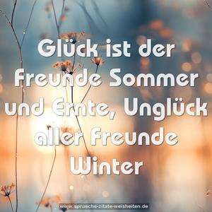 Glück ist der Freunde Sommer und Ernte,
Unglück aller Freunde Winter