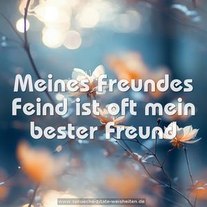 Meines Freundes Feind ist oft mein bester Freund