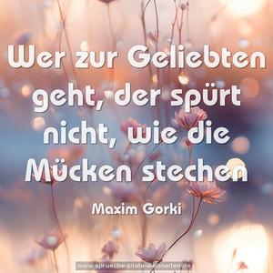 Wer zur Geliebten geht, der spürt nicht,
wie die Mücken stechen 