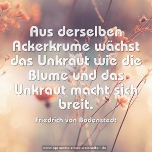 Aus derselben Ackerkrume wächst das Unkraut wie die Blume
und das Unkraut macht sich breit.