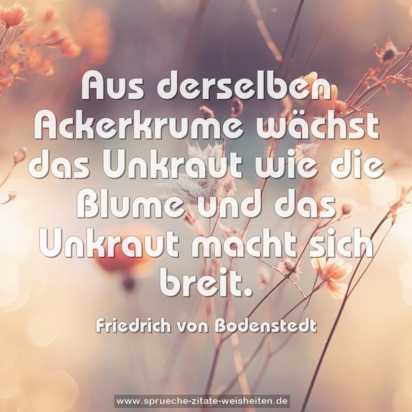 Aus derselben Ackerkrume wächst das Unkraut wie die Blume
und das Unkraut macht sich breit.