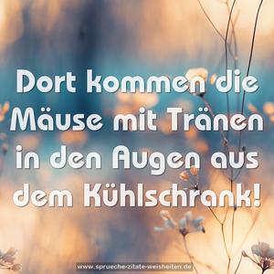 Dort kommen die Mäuse mit Tränen in den Augen aus dem Kühlschrank!