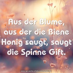 Aus der Blume, aus der die Biene Honig saugt,
saugt die Spinne Gift.