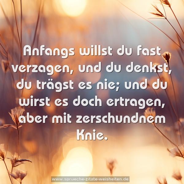 Anfangs willst du fast verzagen,
und du denkst, du trägst es nie;
und du wirst es doch ertragen,
aber mit zerschundnem Knie.