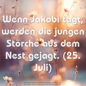 Wenn Jakobi tagt,
werden die jungen Störche aus dem Nest gejagt.
(25. Juli)