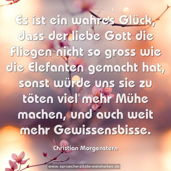 Es ist ein wahres Glück,
dass der liebe Gott die Fliegen nicht so gross wie die Elefanten gemacht hat,
sonst würde uns sie zu töten viel mehr Mühe machen,
und auch weit mehr Gewissensbisse.