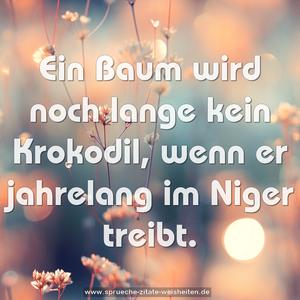 Ein Baum wird noch lange kein Krokodil,
wenn er jahrelang im Niger treibt.