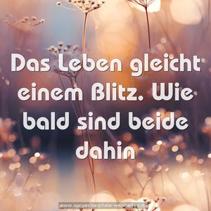 Das Leben gleicht einem Blitz.
Wie bald sind beide dahin