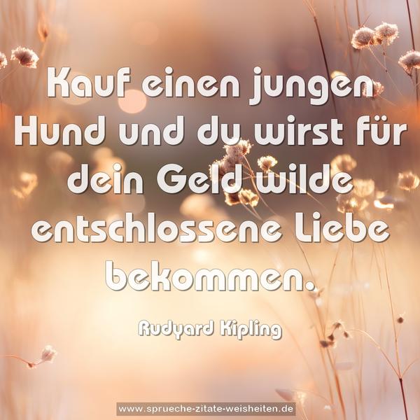 Kauf einen jungen Hund
und du wirst für dein Geld
wilde entschlossene Liebe bekommen.