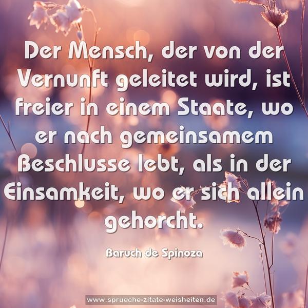 Der Mensch, der von der Vernunft geleitet wird, ist freier in einem Staate, wo er nach gemeinsamem Beschlusse lebt, als in der Einsamkeit, wo er sich allein gehorcht.