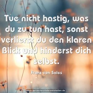 Tue nicht hastig, was du zu tun hast,
sonst verlierst du den klaren Blick
und hinderst dich selbst.