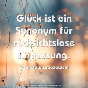Glück ist ein Synonym für rücksichtslose Anpassung.