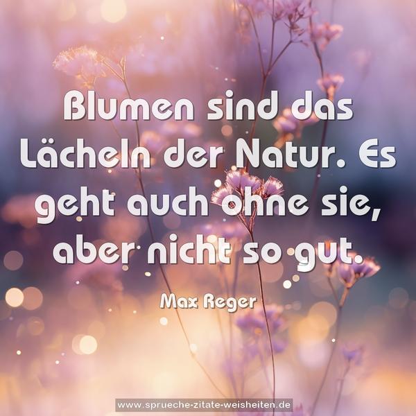 Blumen sind das Lächeln der Natur.
Es geht auch ohne sie, aber nicht so gut.