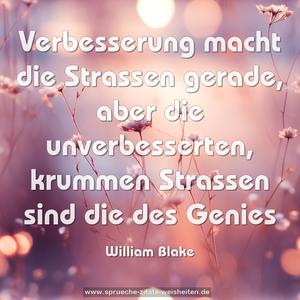 Verbesserung macht die Strassen gerade,
aber die unverbesserten, krummen Strassen
sind die des Genies