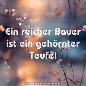 Ein reicher Bauer ist ein gehörnter Teufel 