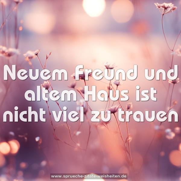 Neuem Freund und altem Haus
ist nicht viel zu trauen