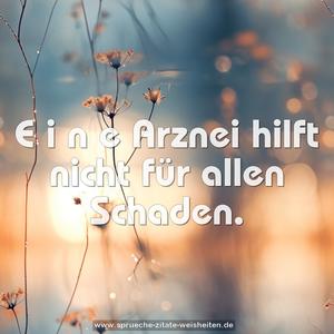 E i n e   Arznei hilft nicht für allen Schaden.